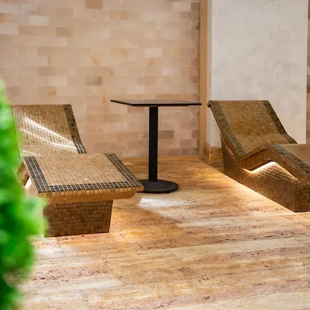 酒店 A - Park Vrnjačka Banja